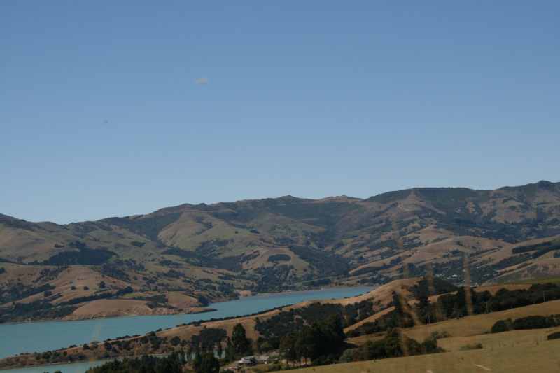 Nieuw-Zeeland 2011 - 2094